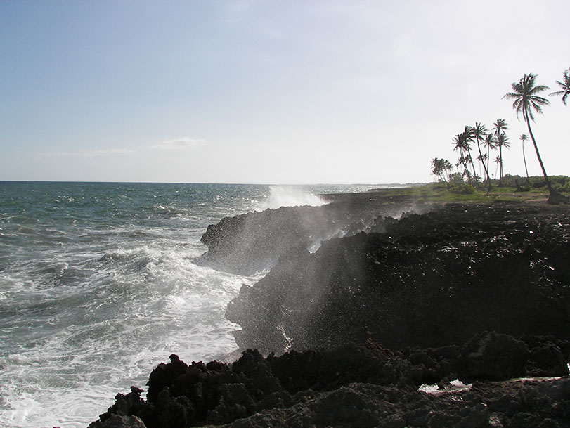 The ocean's edge in Dominican Republic
