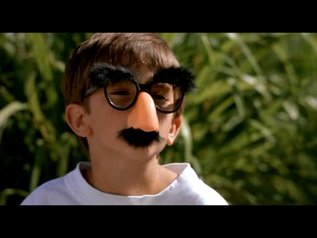 disguise
